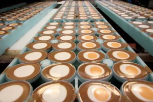 Food manufacturing conveyor